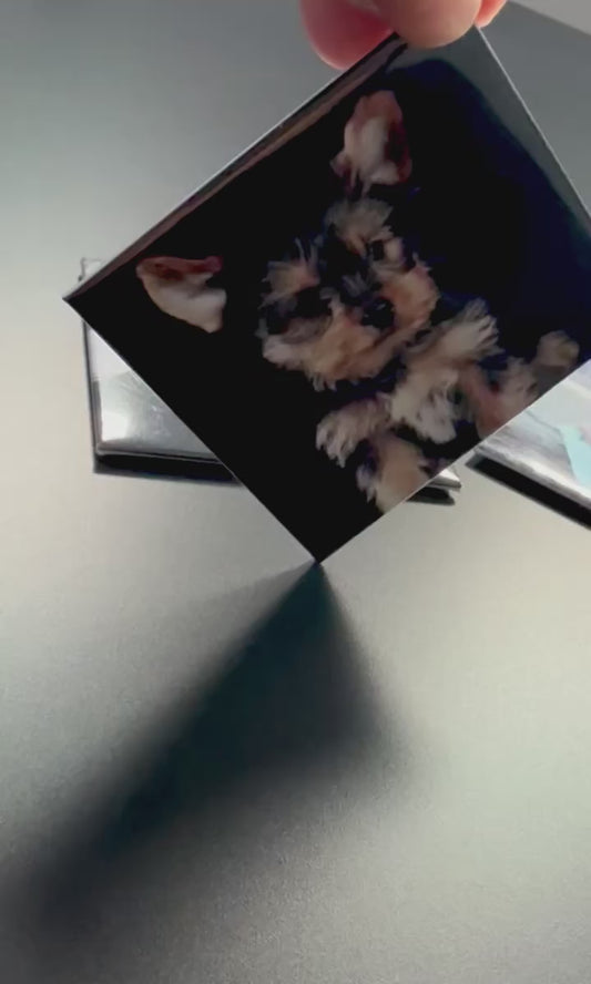 6 Custom Photo Magnets